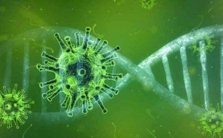 SON DAKİKA HABERLER: Yarasadan yayılan bir virüs daha: Tedavisi hala yok, ölüm oranı korkunç!