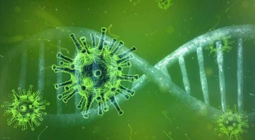 SON DAKİKA HABERLER: Yarasadan yayılan bir virüs daha: Tedavisi hala yok, ölüm oranı korkunç!