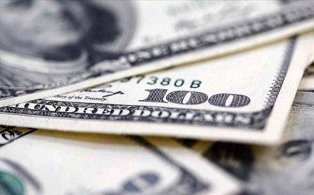 Reel efektif döviz kuru endeksi arttı