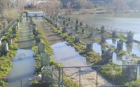 Irmak taştı, otoyol şantiyesi sular altında kaldı