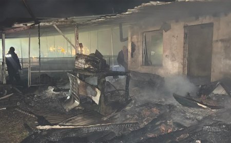 Ergene'de çiftlik yangınında, 120 koyun 100 kuzu öldü