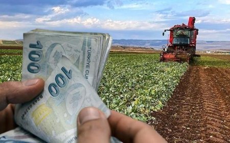 Çiftçilere müjde: 94 milyon 265 bin liralık destek ödemesi bugün yapılacak