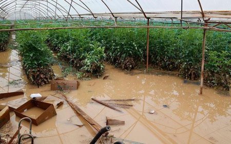 Geçen haftaki yağış ve hortumun faturası Antalya'ya ağır oldu