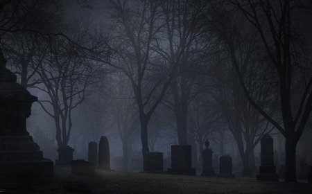 Cenazeevinde ortaya çıkan korkunç sır! 189 cesedi 4 yıl boyunca saklamış