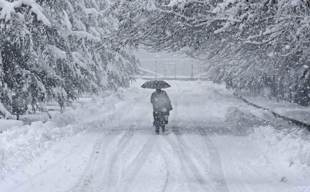Japonya'da ağır bilanço! Kar felaketinde ölü sayısı 46'ye yükseldi