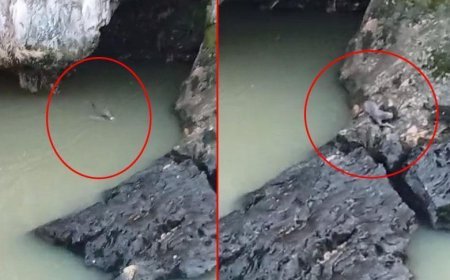 Yer: Elazığ! Kaplıcada fark etti, görür görmez telefona sarıldı