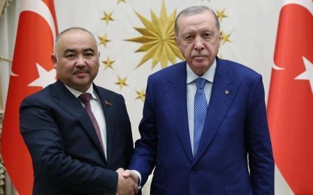 Cumhurbaşkanı Erdoğan, Kırgızistan Meclis Başkanı Turgunbek Uulu'yu kabul etti