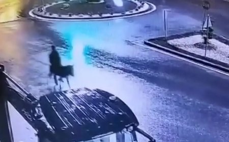 Forkliftle soyup eşekle kaçtı!