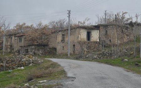 Türkiye'de 3 köyde yalnızca 1 kişi yaşıyor