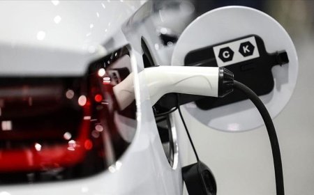 Elektrikli araç küresel satışları ocakta yüzde 3 düştü