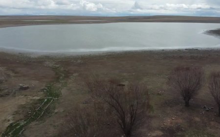 Dört yıl önce tamamen kurumuştu. "Kuş Cenneti" yeniden su tutmaya başladı