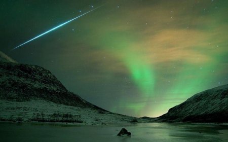 Dünya'ya yakın 15 bin şehir yok edici! 'Geceleri uyuyamıyorum'