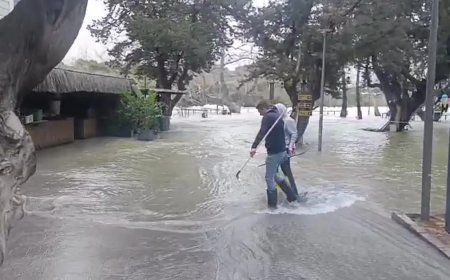 Manavgat Irmağı'nda sular yükseldi, işletmeleri su bastı