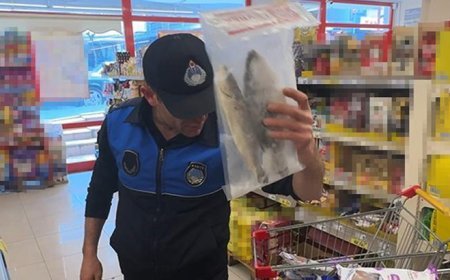 Avcılar’da markette skandal: Torbalar içine konularak İlçe Tarım Müdürlüğü’ne gönderildi