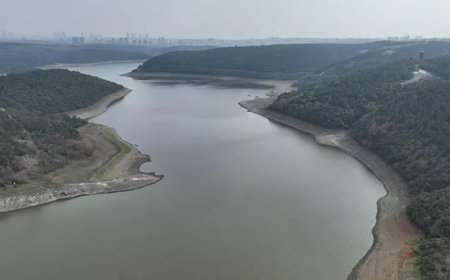 Yağışlar yarıyor, İstanbul'un barajları doluyor. İşte son durum