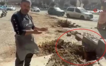 Fırtına dev ağaçları kökünden söktü: O anlar kamerada