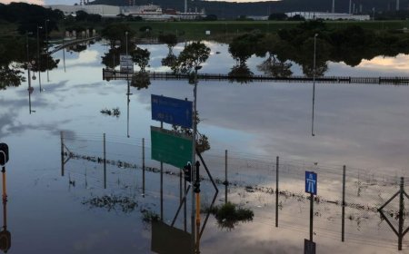 Edirne'nin yanı başında felaket! Gözler barajlara çevrildi, 100 bin dönüm arazi sular altında