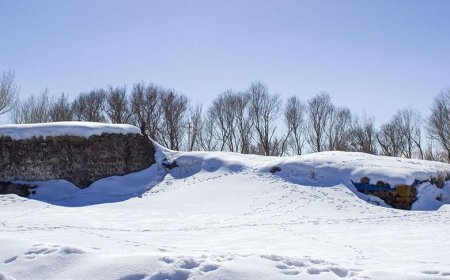 Kar geri geldi! Birçok kent beyaza büründü