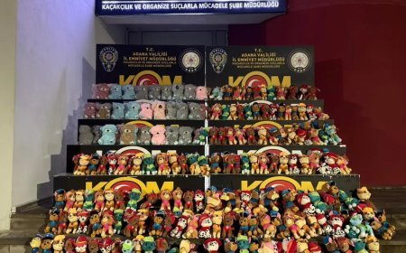 Çuvalların içinden yüzlerce çıktı. Sağlığa zararlı olabileceği değerlendiriliyor