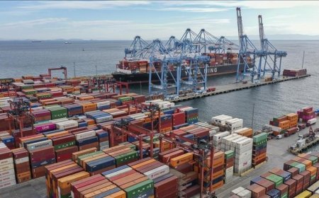 TİM İhracat Pazar Monitörü'nün ocak ayı sonuçları açıklandı