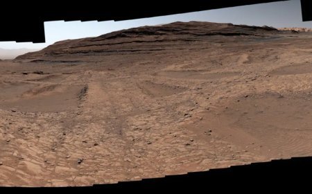 NASA’nın uzay aracı Curiosity, Mars’taki “örümcek ağlarını” görüntüledi