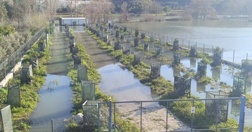 Irmak taştı, otoyol şantiyesi sular altında kaldı