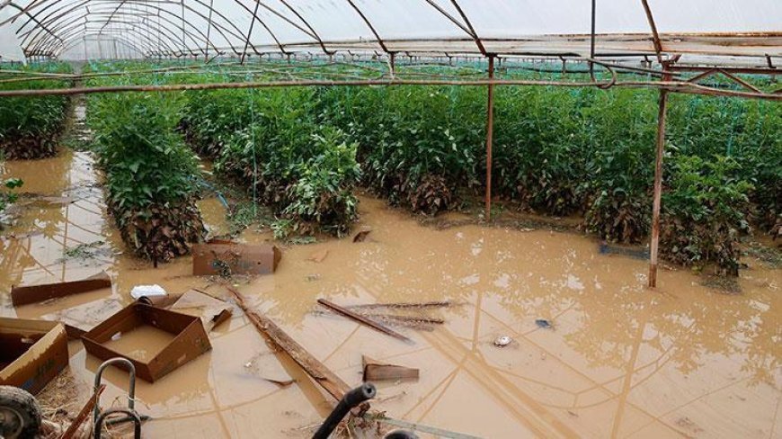 Geçen haftaki yağış ve hortumun faturası Antalya'ya ağır oldu