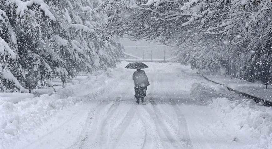 Japonya'da ağır bilanço! Kar felaketinde ölü sayısı 46'ye yükseldi