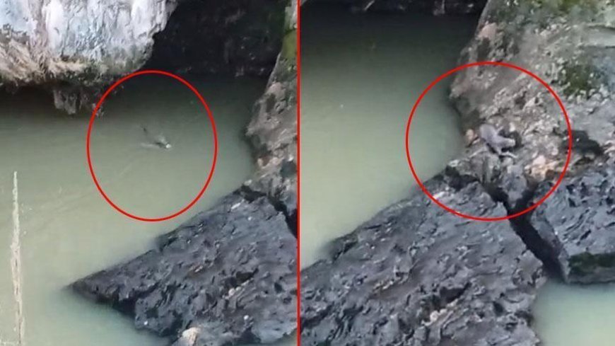 Yer: Elazığ! Kaplıcada fark etti, görür görmez telefona sarıldı