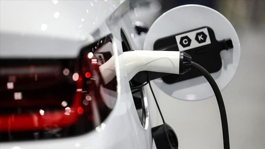 Elektrikli araç küresel satışları ocakta yüzde 3 düştü