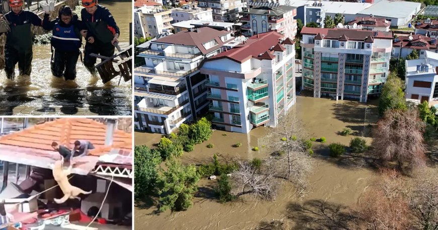 Alanya ve Köyceğiz'de taşkın alarmı. Baraj maksimum seviyeye ulaştı, bir işletme sele kapıldı