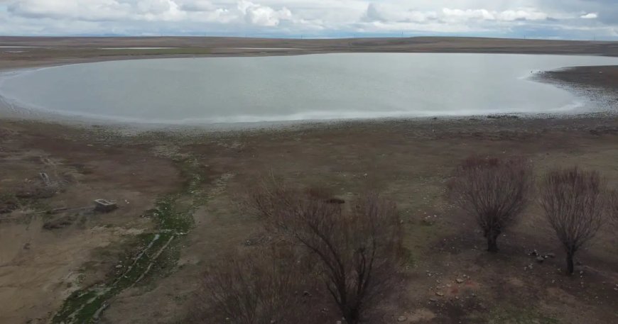 Dört yıl önce tamamen kurumuştu. "Kuş Cenneti" yeniden su tutmaya başladı