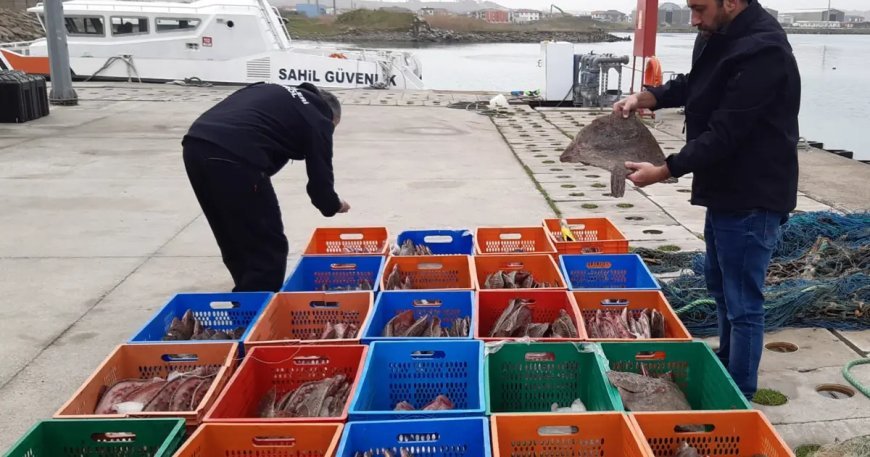 Kaçak avlanan 850 kilogram kalkan balığına el konuldu. 5 kişiye 905 bin TL ceza