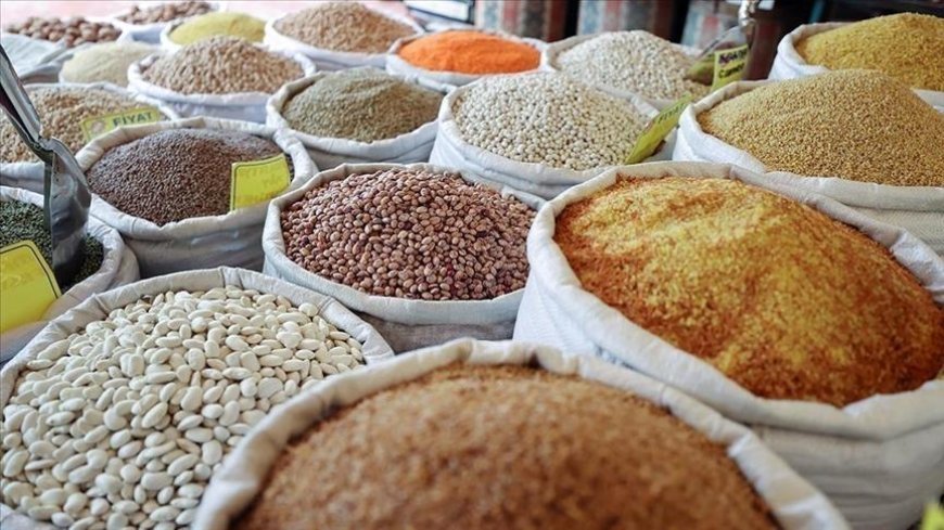 Güneydoğu Anadolu'dan 279,9 milyon dolarlık hububat ihracatı yapıldı