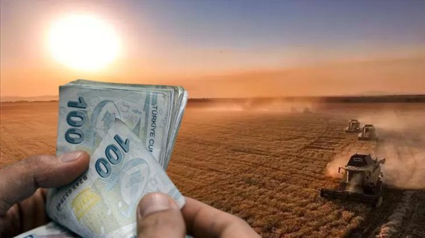 Tarım ve Orman Bakanlığı duyurdu: 129 milyon liralık destek bugün hesaplarda