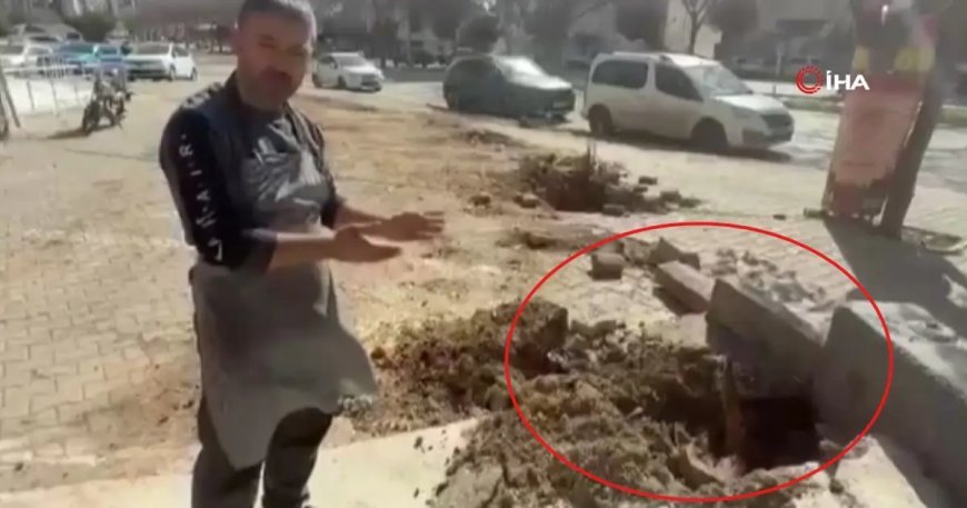 Fırtına dev ağaçları kökünden söktü: O anlar kamerada