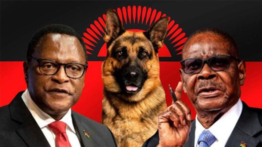 4 köpek için 80 polis! 'Kara büyü' ülkeyi karıştırdı: İki başkan, tek çıkmaz