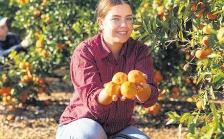 Çiftçi sayısı beş yılda 190 bin arttı