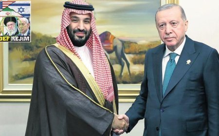 Ateşkes diplomasisi