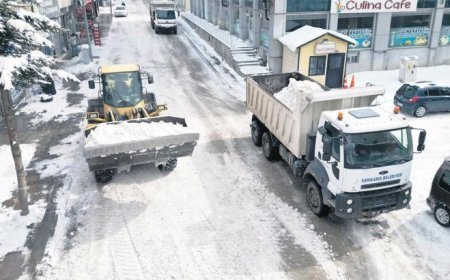 Sıcaklık artıyor dona dikkat!