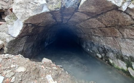 Türkiye'de bir örneği daha yok. Trabzon'da ortaya çıktı, uzmanlar da şaşırdı