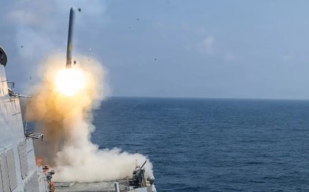 NATO'nun savunma sistemi nasıl çalışıyor?