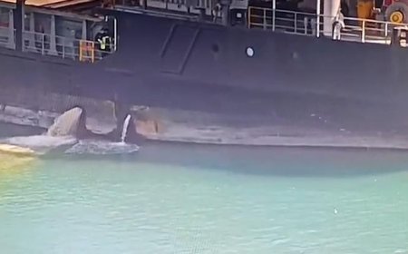 Mersin’de denizi kirleten gemiye 13 milyon 187 bin 913 TL ceza!