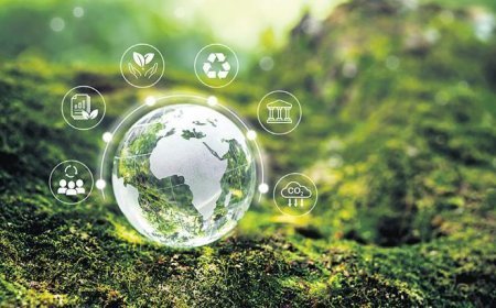 Yeşil ve dijital dönüşüm finanse edilecek