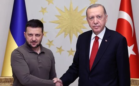 Cumhurbaşkanı Erdoğan, Ukrayna lideri Zelenski ile görüştü
