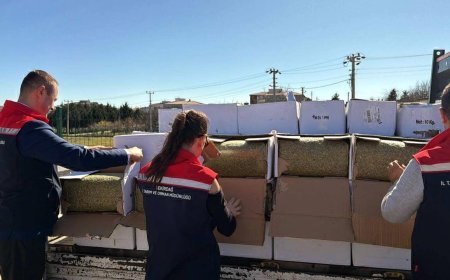 Ergene’de 2 ton kanserojen fıstık ele geçirildi