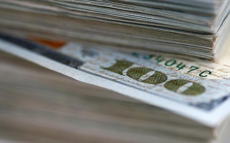 Ödemeler dengesi verileri açıklandı