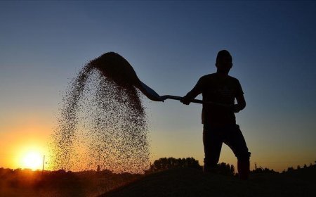 Çiftçilere 10,7 milyar liralık tarımsal destekleme ödemesi bugün yapılacak