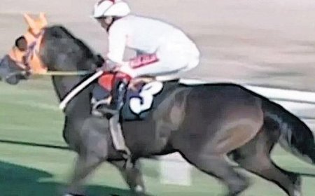 ‘Tüketici ayırt edemez’