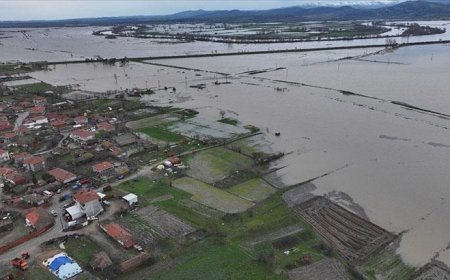 Edirne'de Tunca Nehri kıyısında toprak kayması